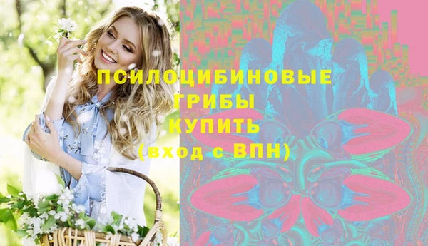 дживик Лабытнанги