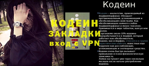 тгк Ладушкин