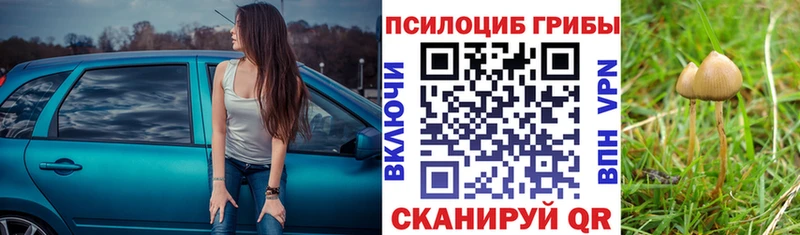 blacksprut как зайти  Обоянь  Псилоцибиновые грибы Psilocybe 